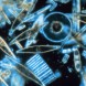 Diatoms through the microscope