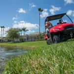 Shoreline Brush and Grass control