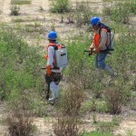 Wetland reclamation, mitigation and habitat restoration