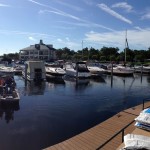 Granular herbicide application for Spadder dock control in Marina