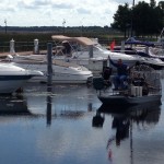 Granular herbicide application for Spadder dock control in Marina