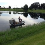 Torpedo grass/alligator weed treatment