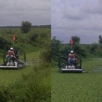 Water lettuce treatment in a discharge canal
