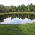 Pond treated bi-weekly for algae blooms