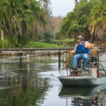 Brush and Grass control - LEGOLAND