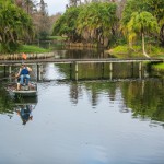 Three treatments For Brush and Grasses = Success