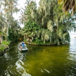 Canal was 100% infested with duckweed prior to treatment