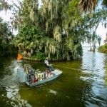 Duckweed removal - LEGOLAND