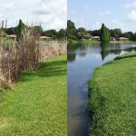 Side by side - Before and after lake management treatment