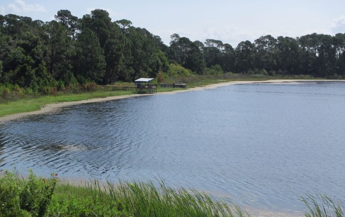 Lake McGarity in Deltona, FL | Applied Aquatic Management