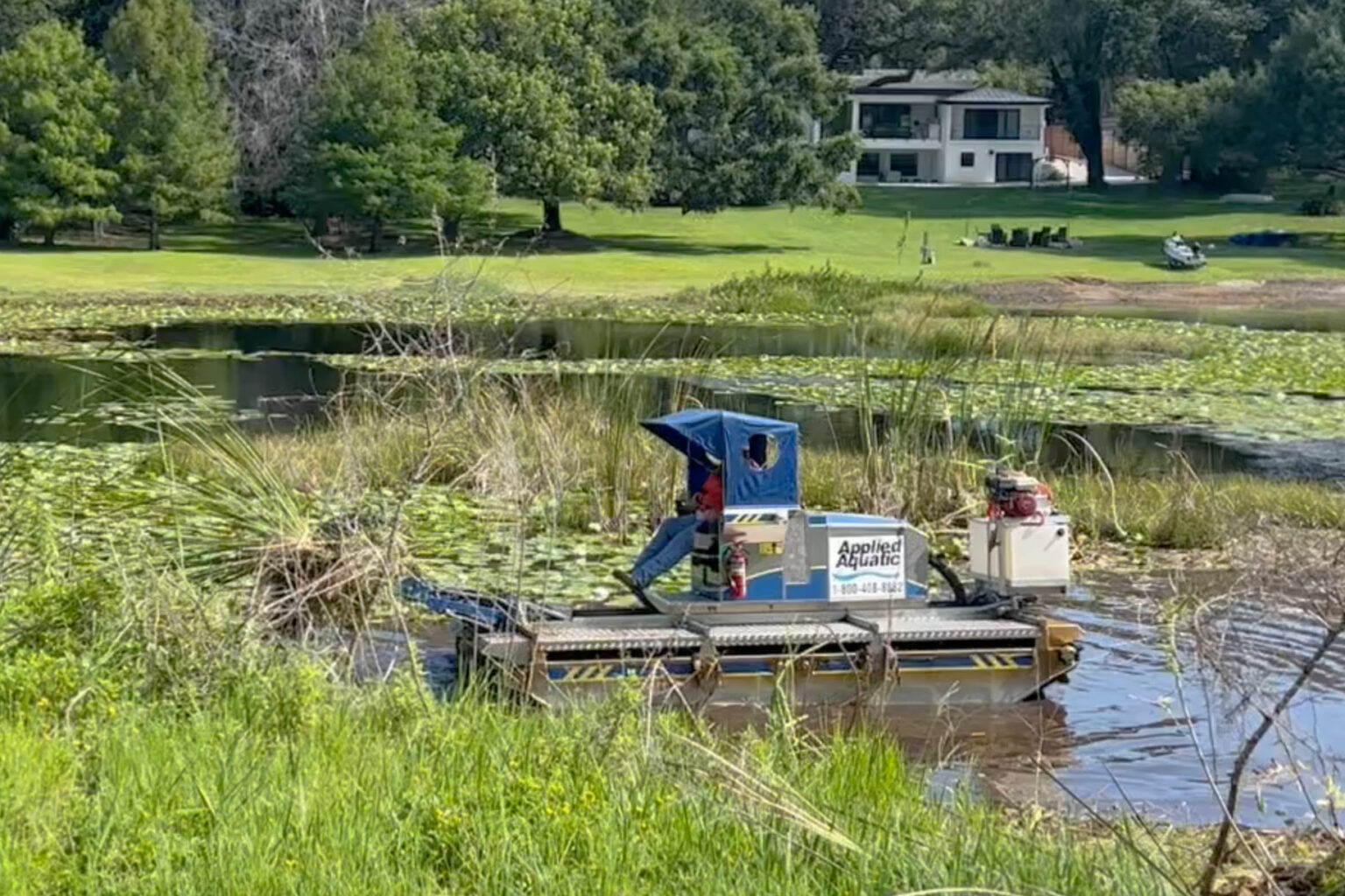 Stunning Aquatic Life Removal Services image